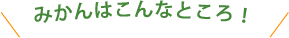 みかんはこんなとこ