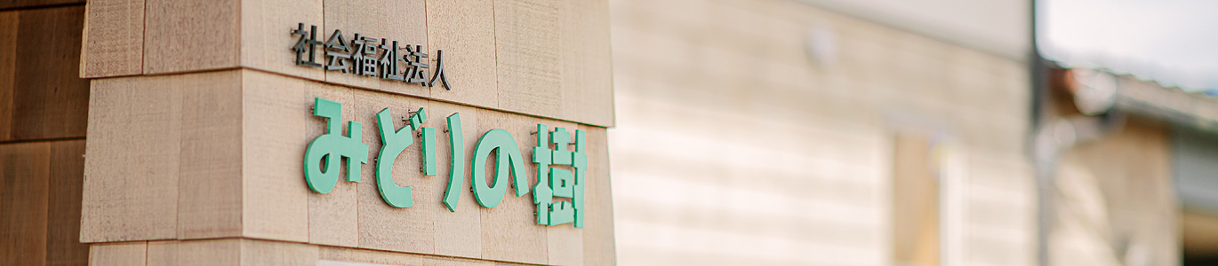 みどりの樹について