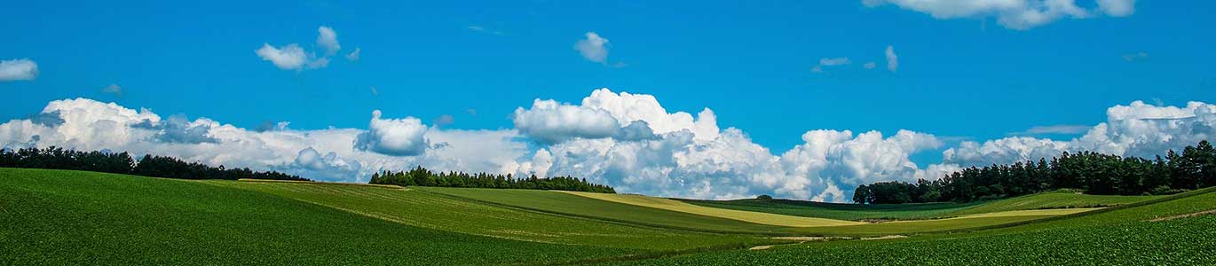 プライバシーポリシー